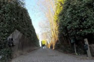 Gallery 01