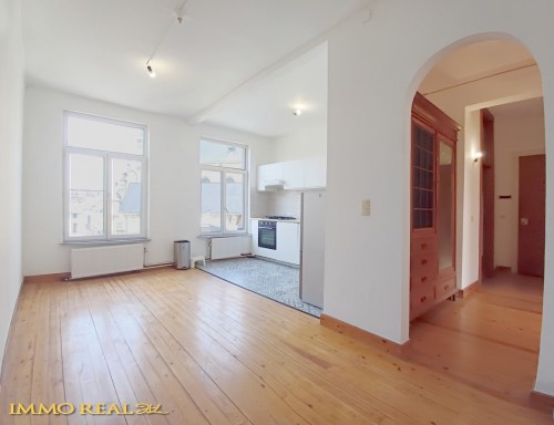 De Brouckère/Béguinage: espacioso piso reformado con encanto (1 hab pos 2).